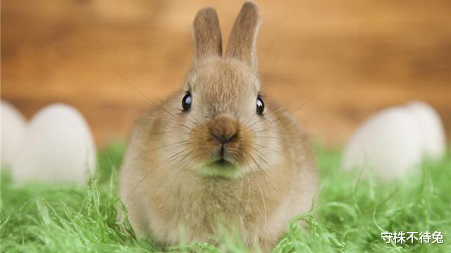 |23个冷知识：学校里不会教，但却真实存在着