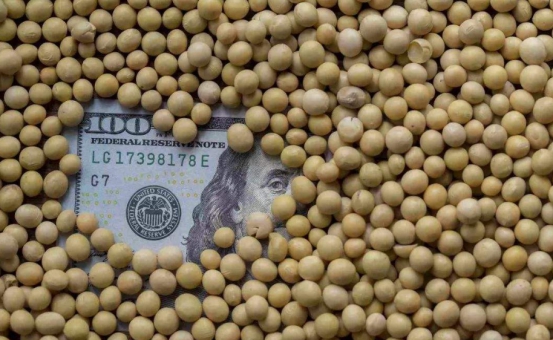 农产品▲1577万吨！美国终于拿下中国大豆大单，美媒：总算松了一口气