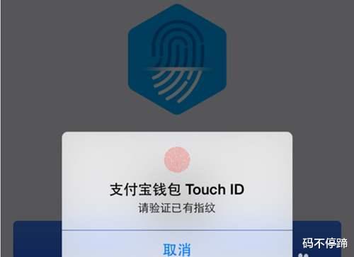 阿里巴巴|手机被人偷了,支付宝里的钱被转走了,遇到这种情况该怎么办?