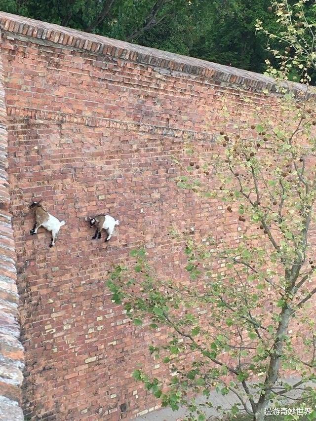 【】25张匪夷所思的照片，神奇的“反重力”世界