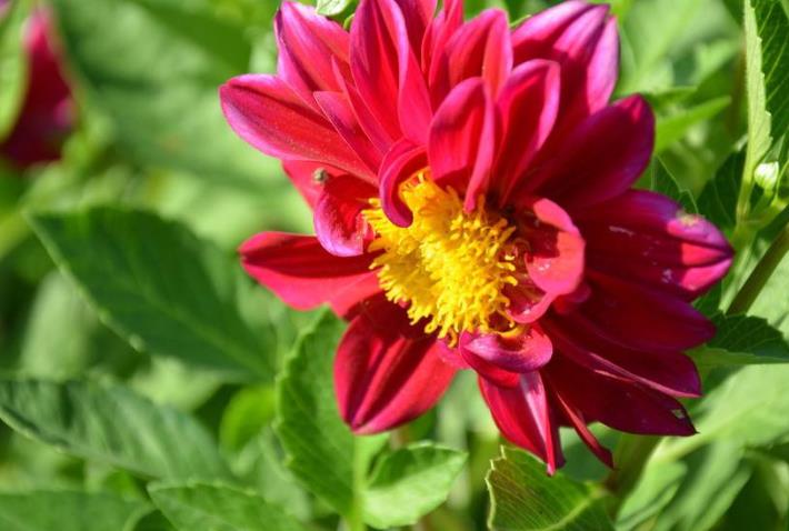 运势|十月上旬开始，运势更上一层楼，财神进门，日进斗金的生肖