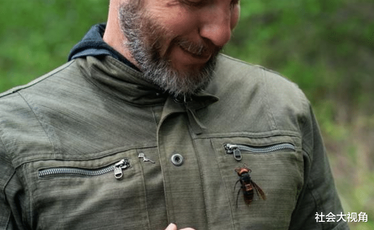 『美国』美国疫情没结束，多地又遭到“杀人蜂”袭击，特朗普的“末日”到了！