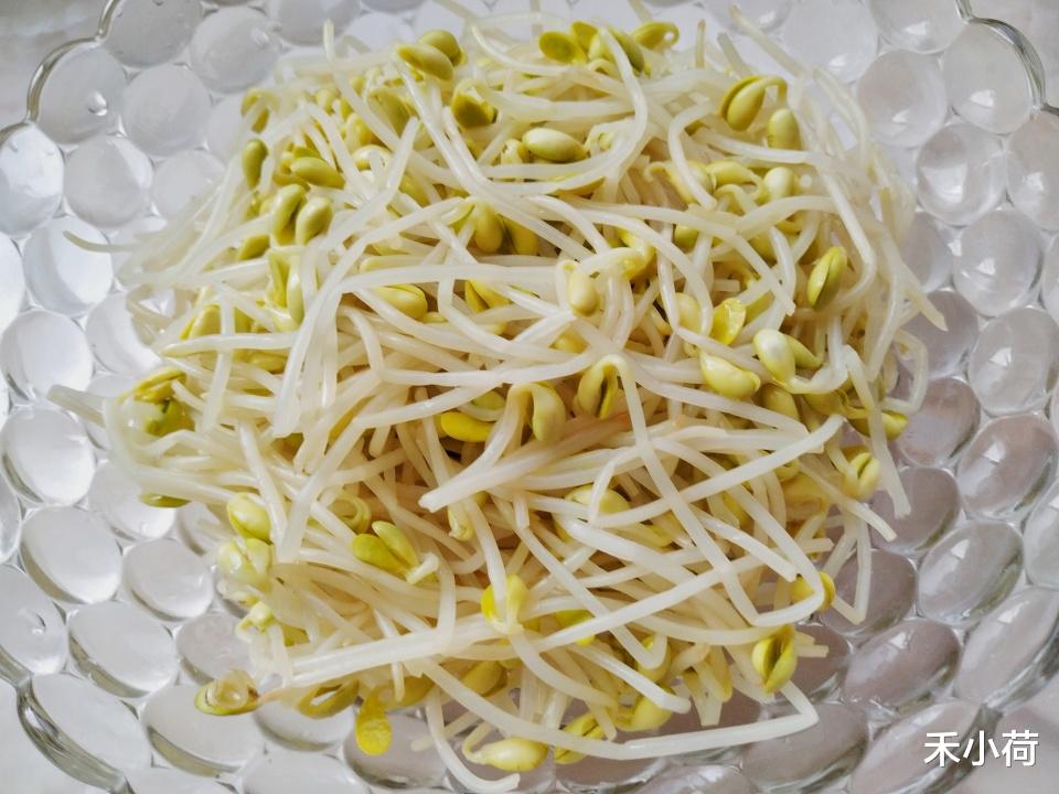 「黄豆芽」黄豆芽最好吃的做法，简单快手，做一大盆，两天就吃没了