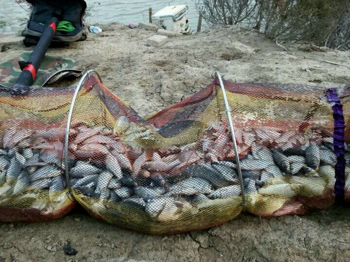 饵料|商品饵配饵的基本原则，做到这五个基本要求，爆护的饵料也不难配