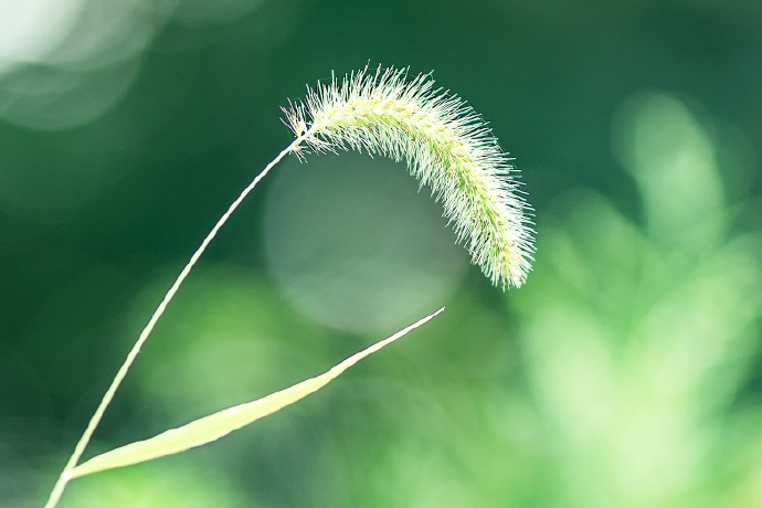 天秤座|实力雄厚，足智多谋，却心慈手软的星座，容易错失成为强者的机会