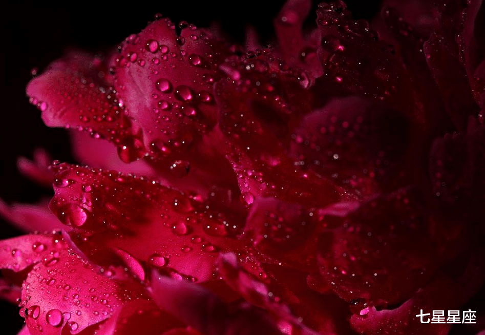 「生肖」7月3号财运最旺的属相，桃花朵朵开，咸鱼翻身，恭喜恭喜！