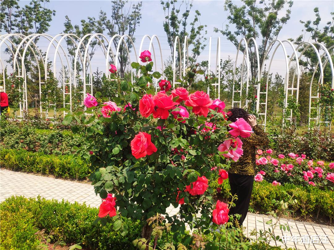 「济宁」济宁这两个景区风景优美,关键是还免费,网友:不去真遗憾