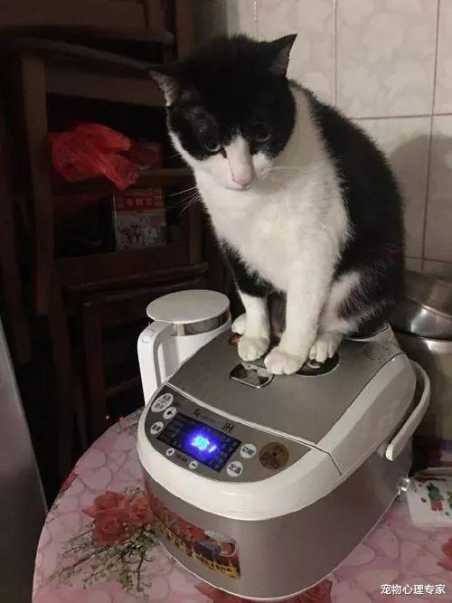 女子下楼去菜场买菜，回家一进厨房，发现气氛有点古怪