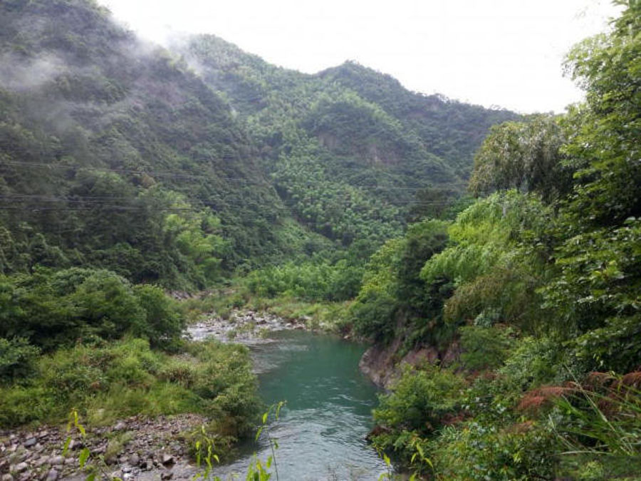 饵料▲忆童年,我的家乡是钓鱼人向往的天堂