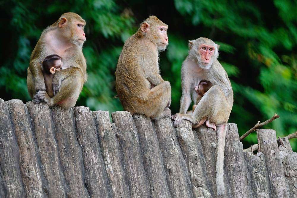 生肖@7月中旬，天降鸿运，三年内财源滚滚的3大生肖
