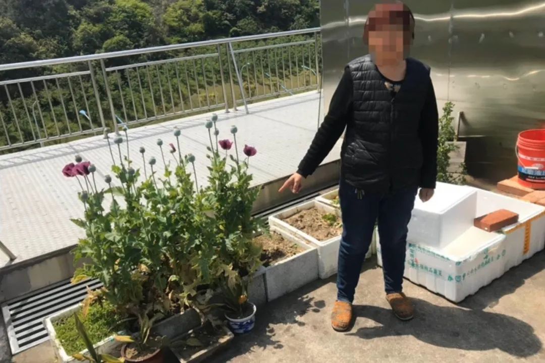 【案件通报】无人机又立功！再摧毁多个“秘密基地”！