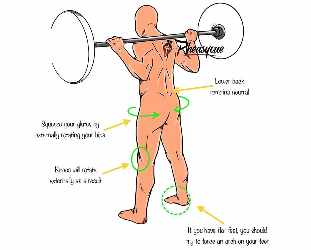 深蹲|男女都该多练的深蹲，你真的会练么？