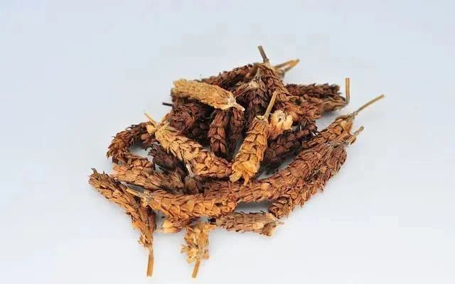 夏枯草@此草人称“纯阳之草”，春生夏亡，入药可清一身肝火，消诸类瘿瘤