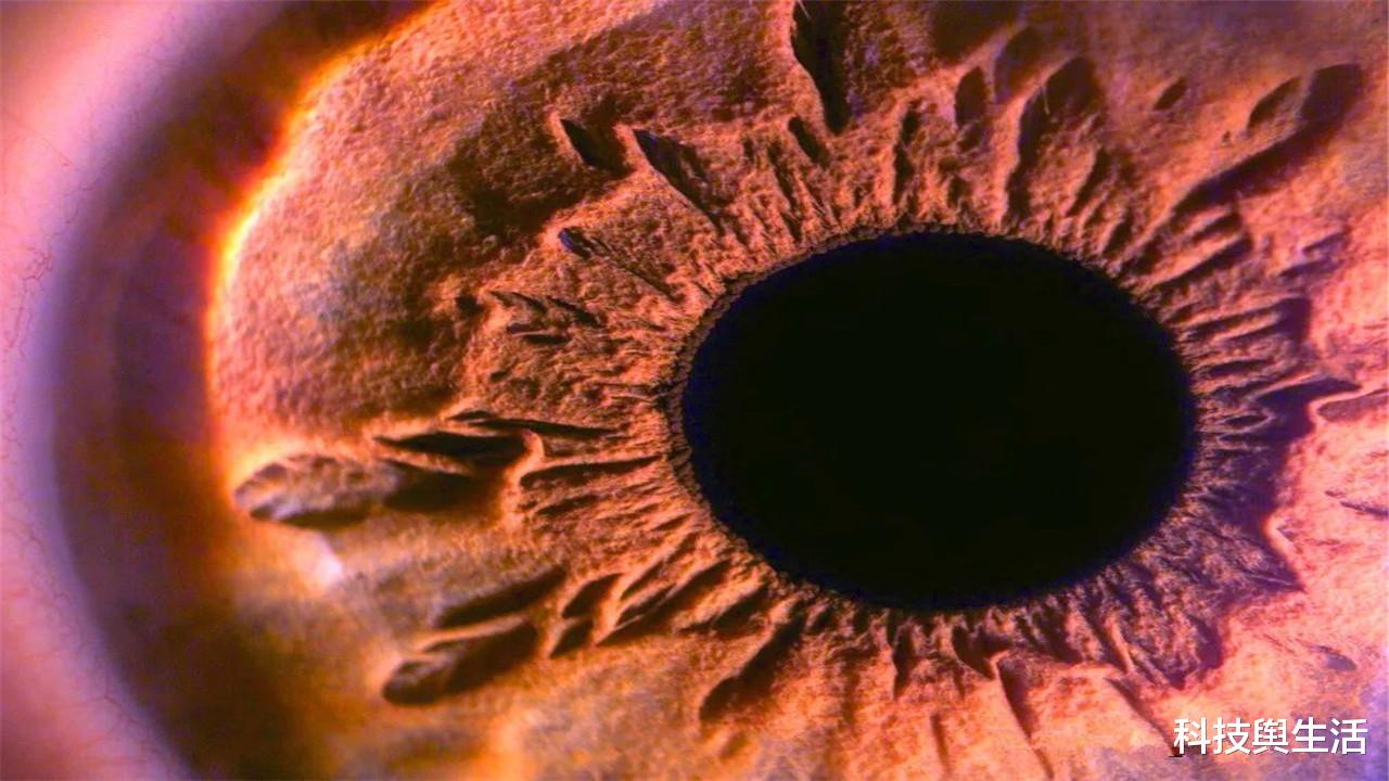 恐龙|人类放大10倍后,能与恐龙一较高下吗?体型大未必占优势!