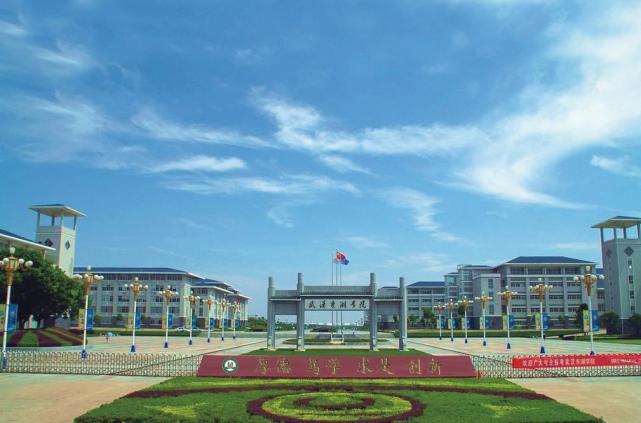 大学|民办大学和独立学院排行榜:前几名引人瞩目,前途却仍然未知