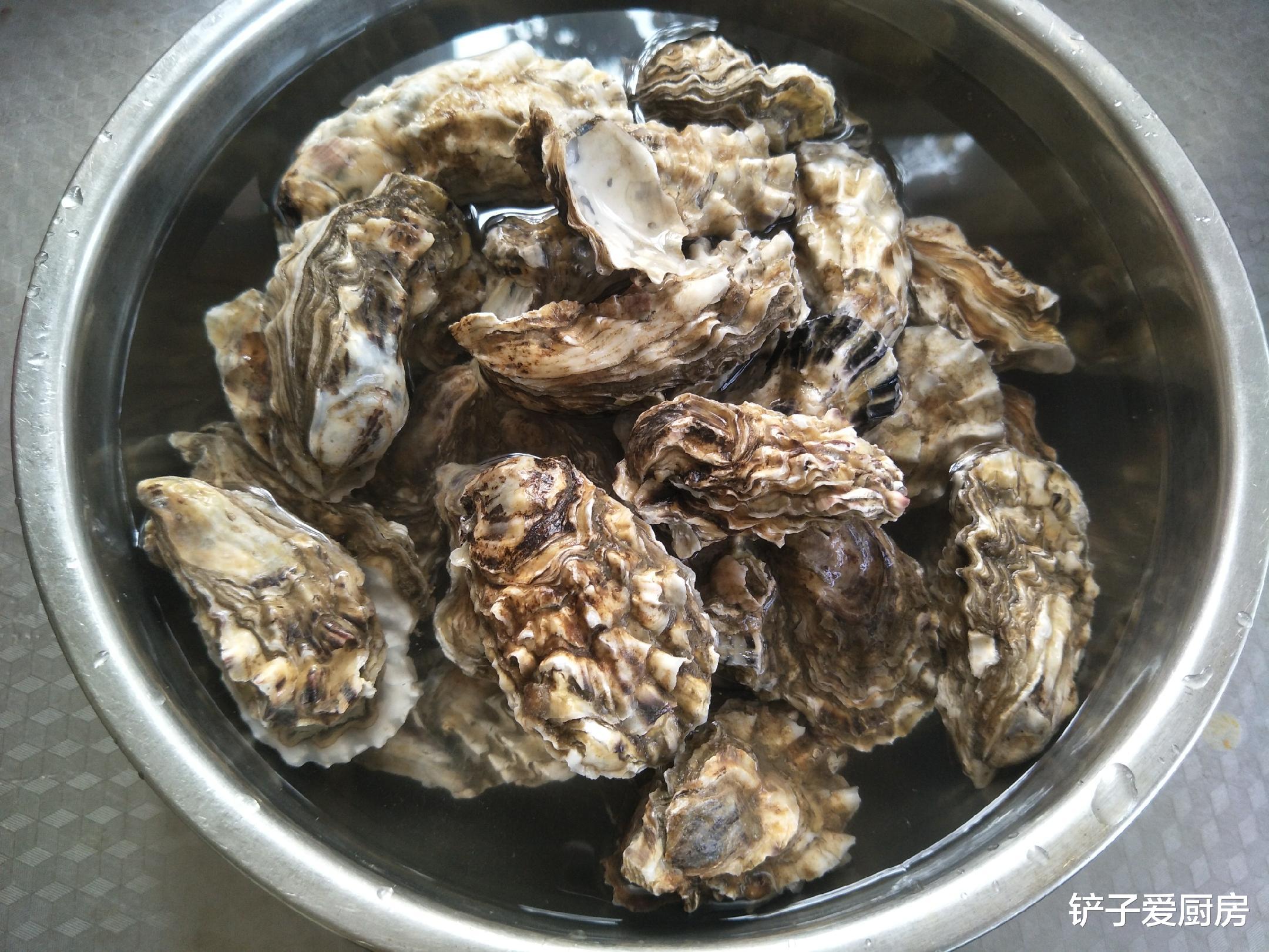 立冬|立冬过后，1道海鲜记得吃，价格实惠，肉质肥美
