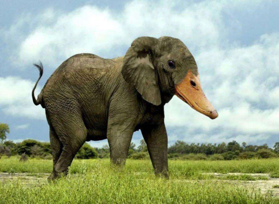 老虎|世界最奇葩的4种杂交动物，第一个如虎添翼，最后一个战斗力爆表