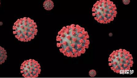 「隔离」确认了！归国留学生韩某为哈尔滨本轮疫情传染源！