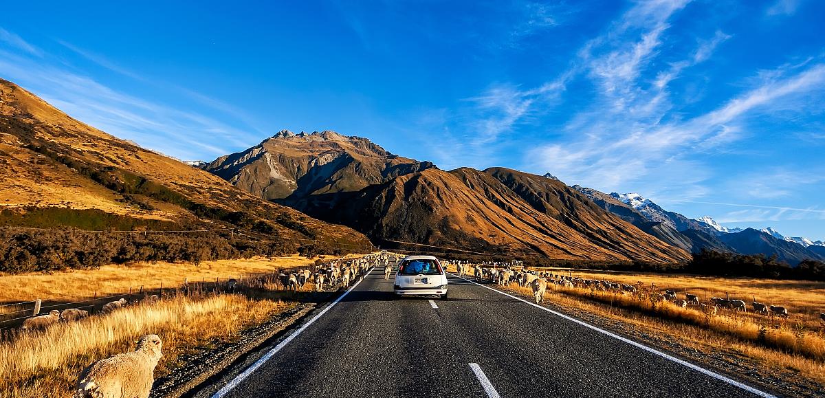 阳澄湖|自驾游不容错过的6个服务区，比景区还美，游客：我不想走了