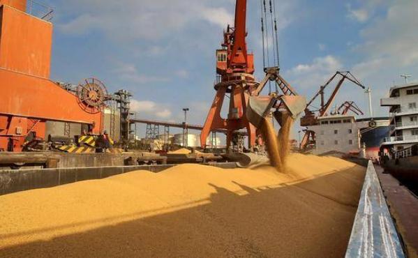 加拿大|本想让我国服软，不料刚停止产品供应，自己的“位置”就被取代