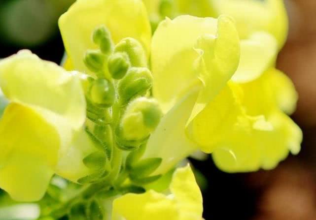 「生肖」恭喜！鼠年将会迎来新生，财运看涨惊喜不断，富贵上上签的生肖