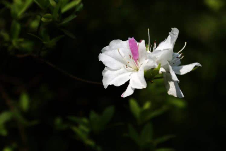 运势|10月下旬，三生肖运势上涨，财源滚滚，事业顺利，未来一片光明