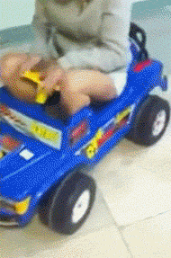 |“钓鱼的时候飞到我手上的，第一次见，谁知道这个是什么？”哈哈哈哈