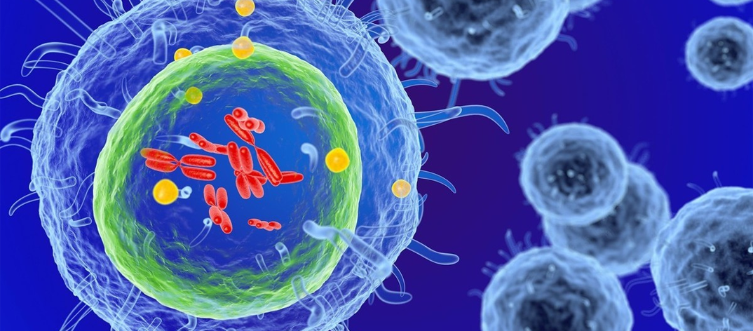 #免疫系统#美国科学家新研究发现，断食两天可重启免疫系统。