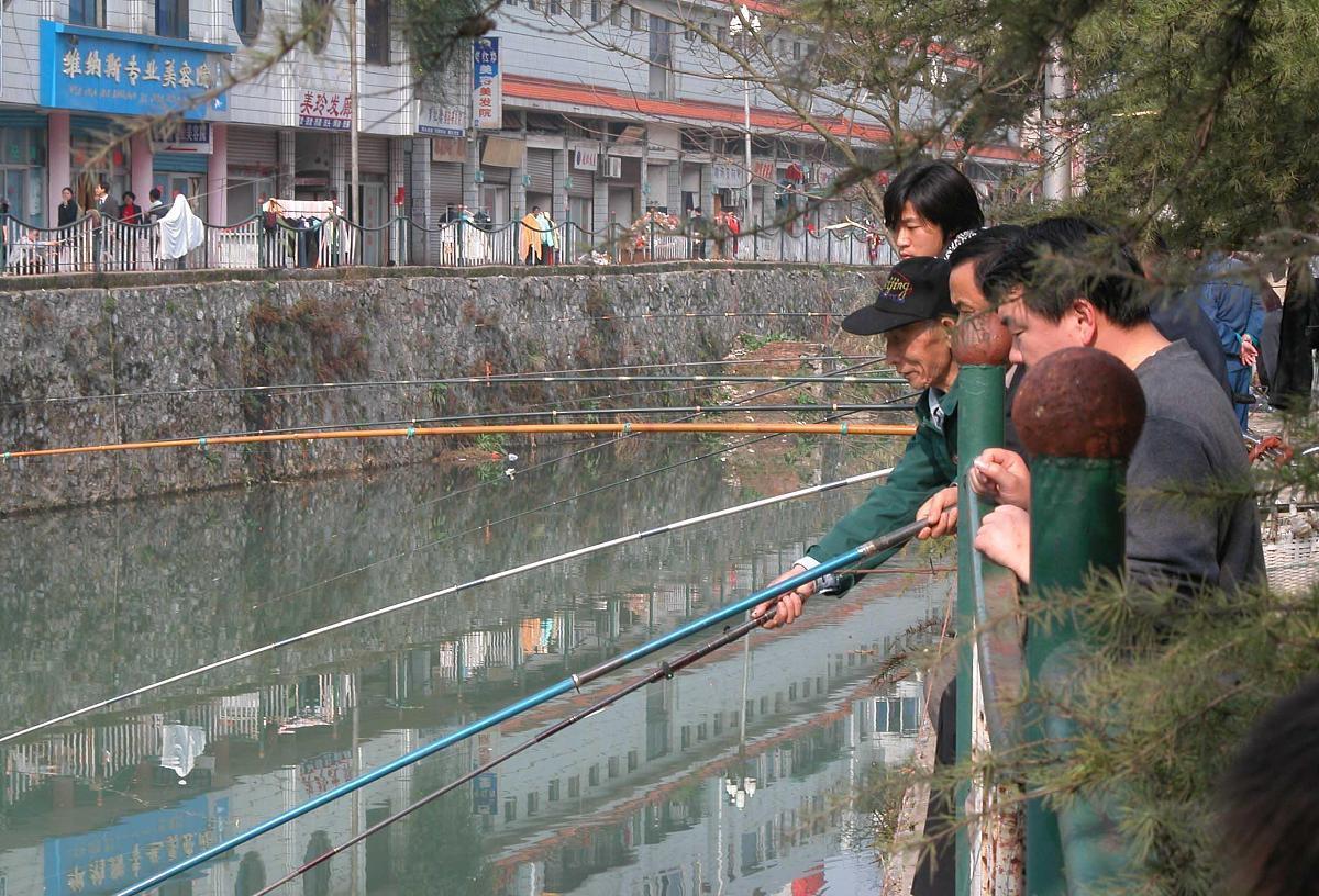 |这4种晴天，很适合秋季钓鱼，因为鱼类活跃，所以能有一个好收获