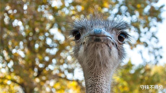 |盘点27个让人摸不着头脑，但却真实存在的有趣知识