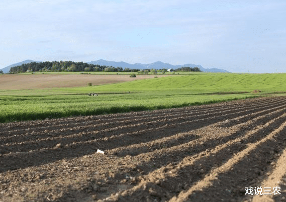 戏说三农|网传土地归并每亩补6万,是真的吗?全国都实施吗?看完就知道了