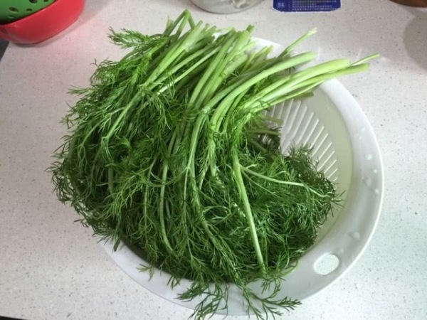 『』它和花生一起吃，天然“清肠菜”，美味可口，便秘没有了，肠道通畅