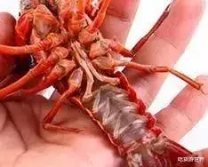 「小龙虾」洗小龙虾时，别再一只只刷了，用这水泡10分钟，洗得干净又彻底