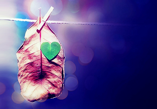 运势|7月第三周，惊喜不断，再创新高的三个星座