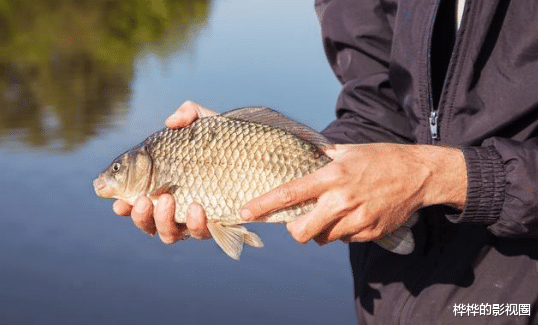 ■钓鱼时很多是挂到的，正口很少，是什么原因？