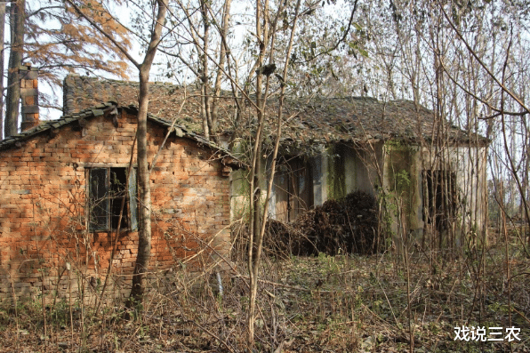 戏说三农|宅基地改革“再加码”,新方案出炉,“4允许”尽释红利,期待!