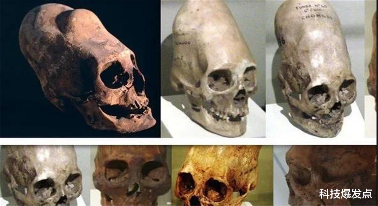 科学家|墨西哥发现“圆柱形”人类头骨，科学家发现，一半DNA来源不明？