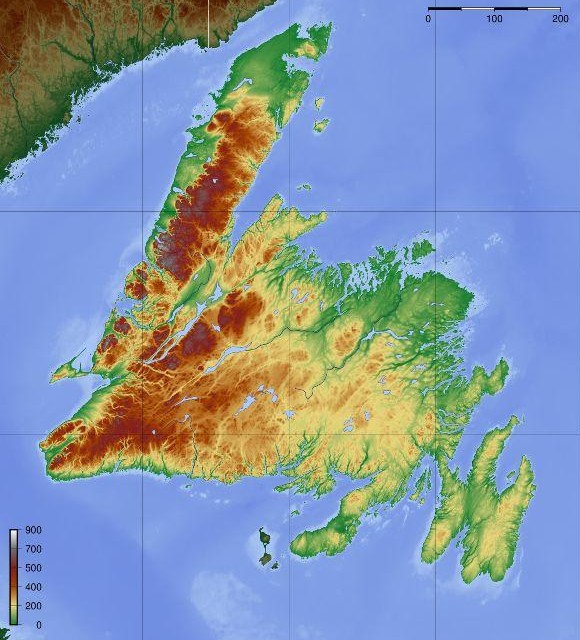 泡面|从鳕鱼到北极虾，纽芬兰的“王牌海鲜”是如何跌落神坛的？
