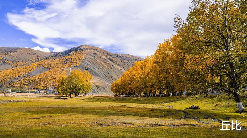 【自驾】自驾游必去的10条极致大道，有人说去过才不枉此生！