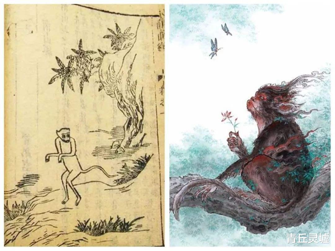 猩猩|唯一会说人话的兽类，狌狌到底是怎样神奇的动物