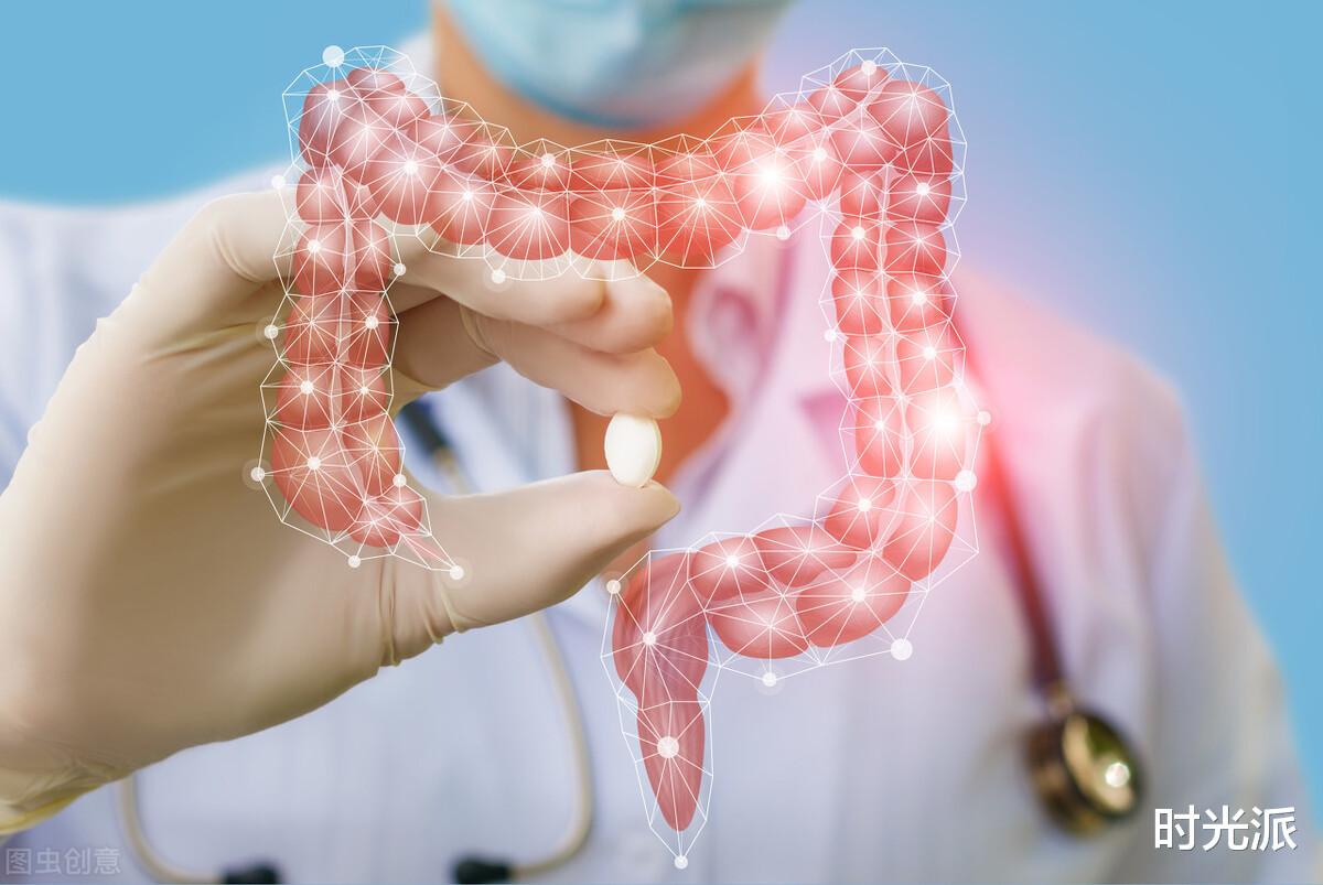 植物人|肠脑有多“聪明”？植物人大脑死亡，肠脑仍在“接管全局”