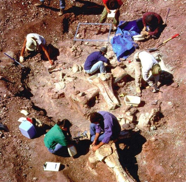 遗迹|世界上最神秘种族，身躯高达5米，专家：不排除至今存在的可能性