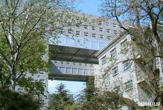 大学|为了面子，选择985冷门专业是对是错？过来人用亲身经历给你答案