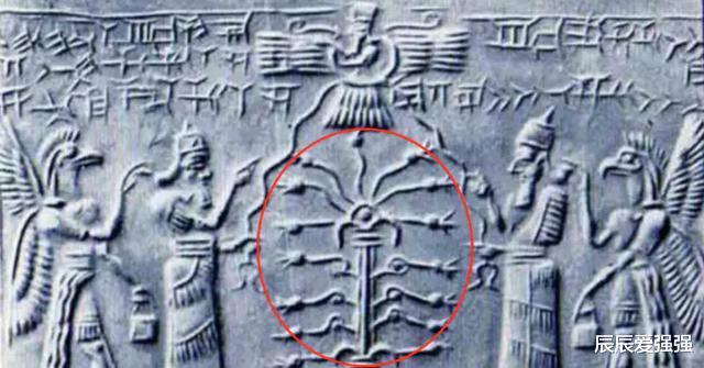 [南极]南极发生了大事？海底出现神秘巨物，是中国扶桑还是永生之树？