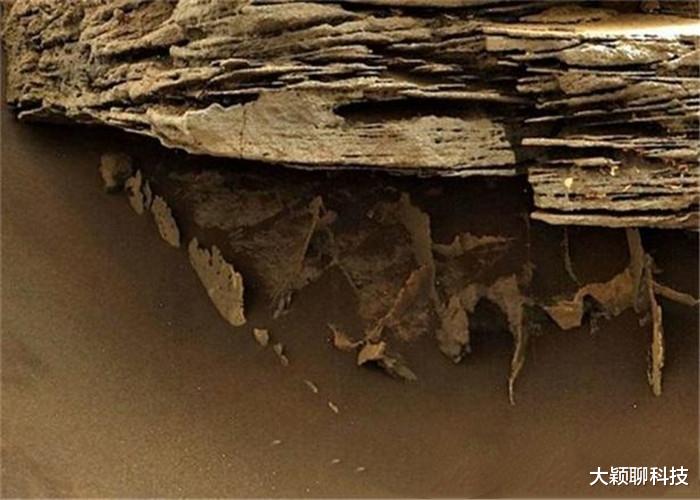 火星|好奇号传回照片，火星表面发现“真菌”，疑似生命存在痕迹！