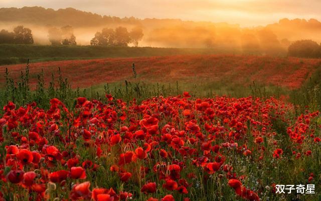 「学霸」天资聪颖，能力出众的三大星座，实力不容小觑