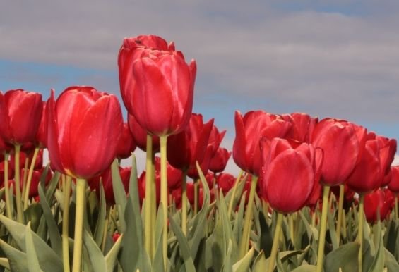 运势|9月份开始，4属相六六大顺，八方来财，财源滚滚一路发，好运不断