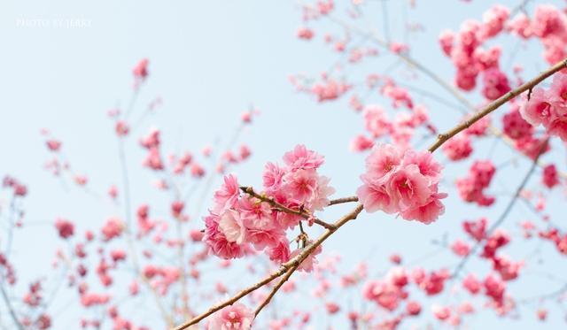 巨蟹座|八月,桃花寻觅,柔和似水,三星座偶遇终身伴侣,一往情深难自拔