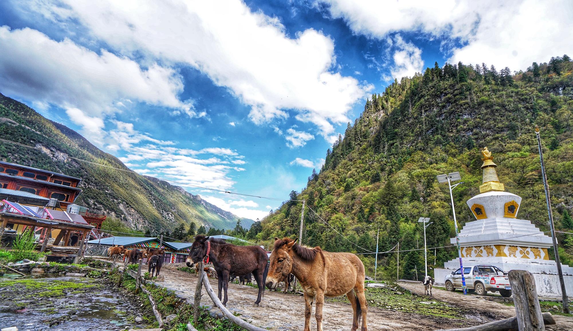 『雨崩村』高海拔徒步18公里累惨但值了，抵达人间仙境，雪山深处的雨崩村