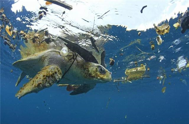 「科学家」科学家在6千米的深海中，有了新发现，众人却开心不起来！